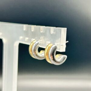 Stainless Steel Elegant Silver and Gold Huggie Hoop Earrings